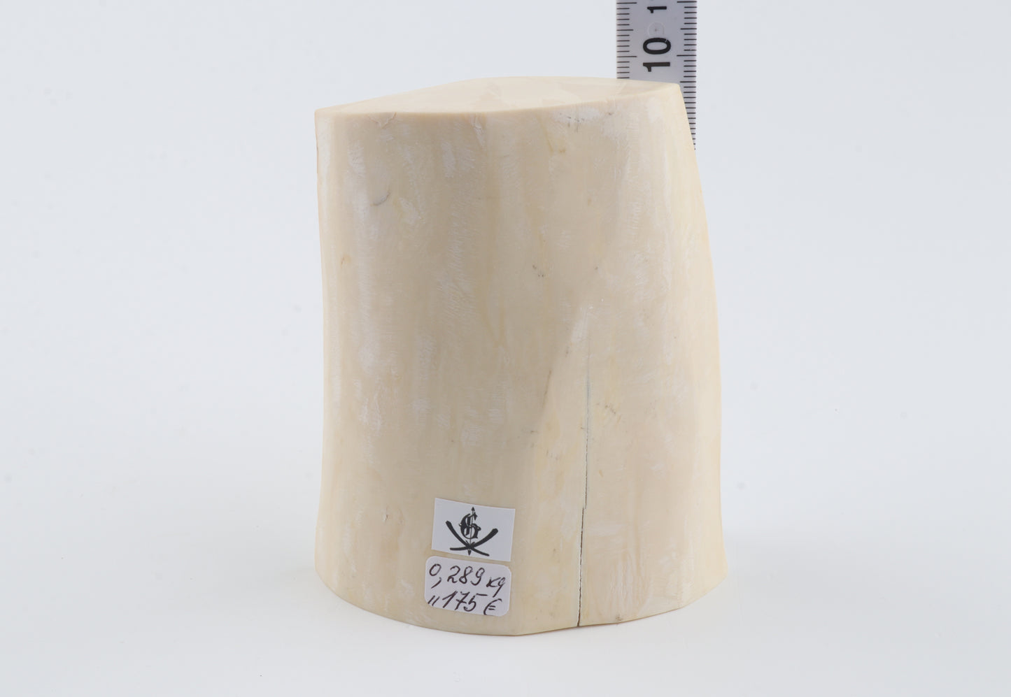 White mammoth tusk piece