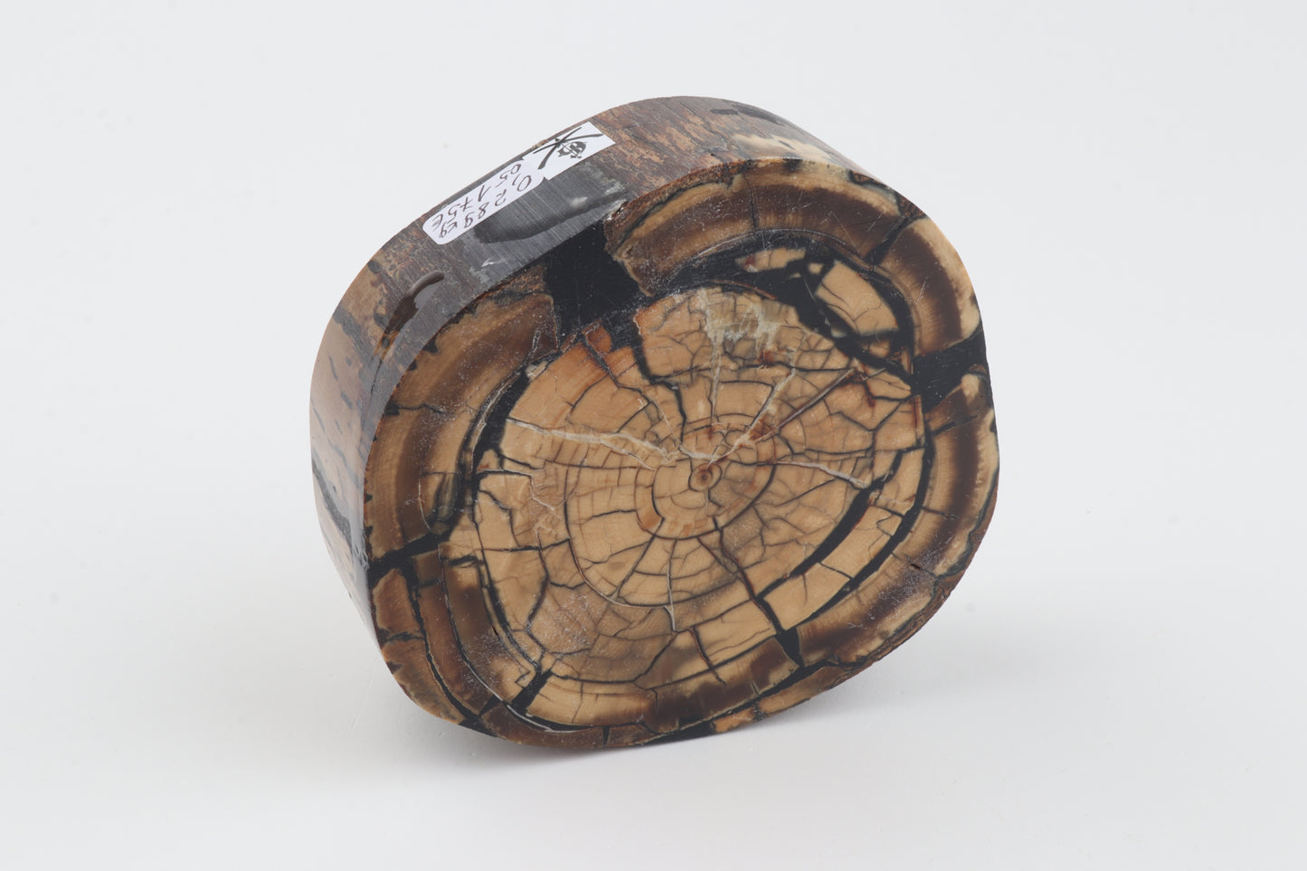 Stabilized mammoth ivory block