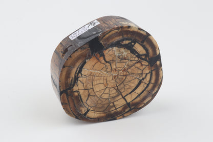 Stabilized mammoth ivory block