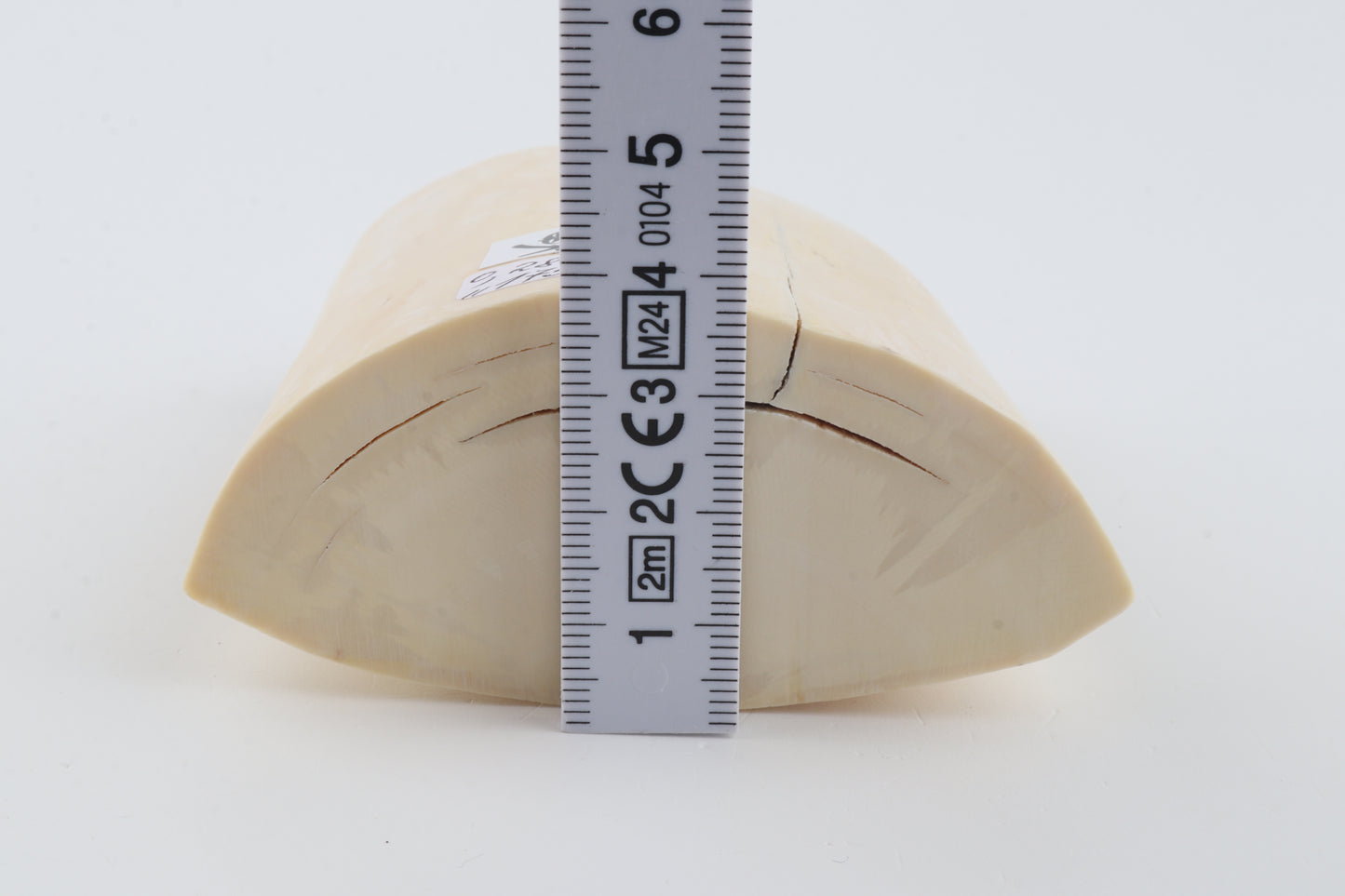 White mammoth tusk piece