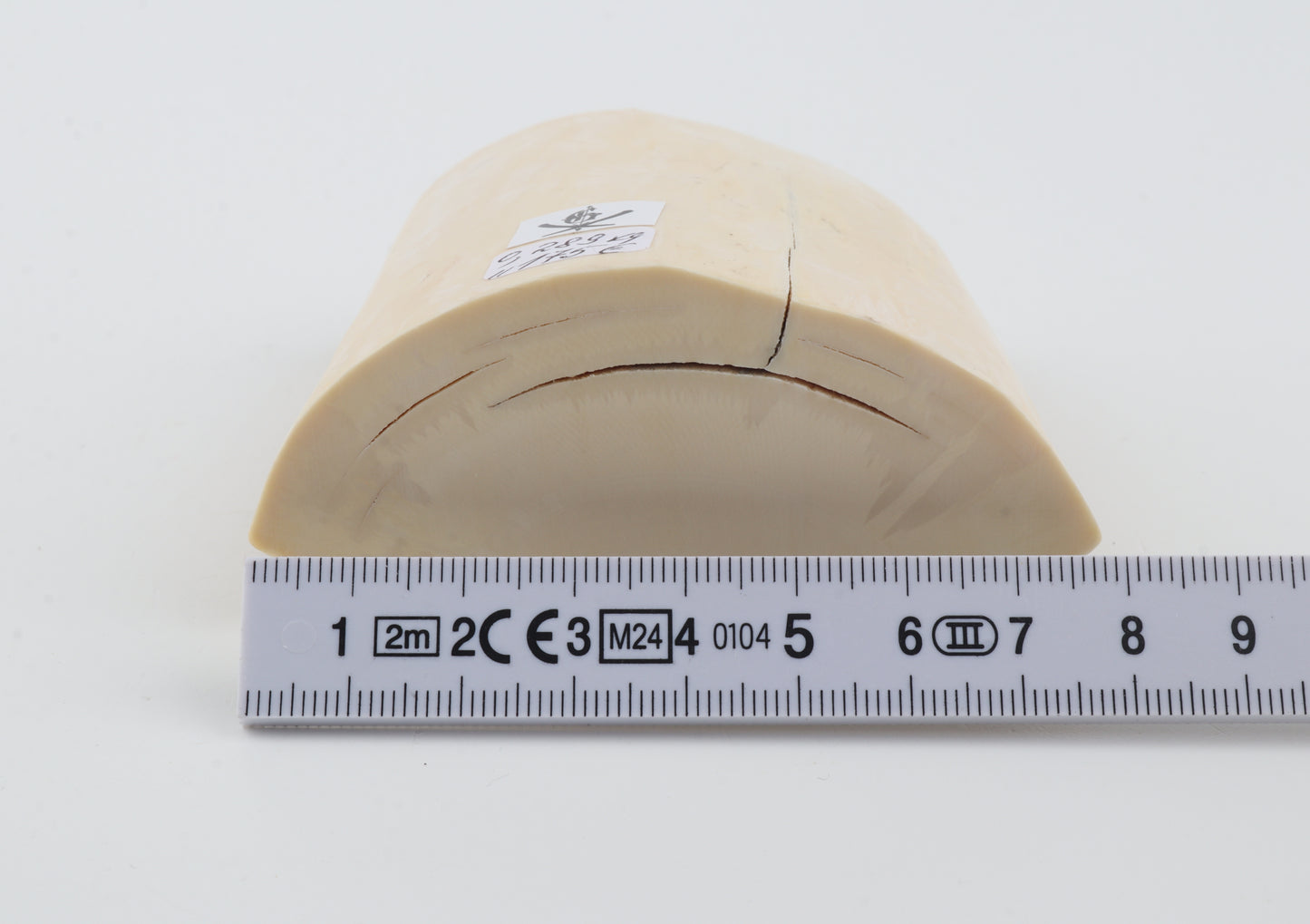 White mammoth tusk piece