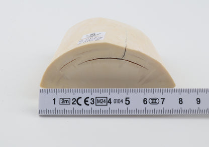 White mammoth tusk piece