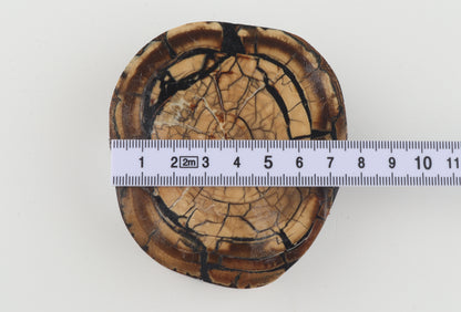 Stabilized mammoth ivory block
