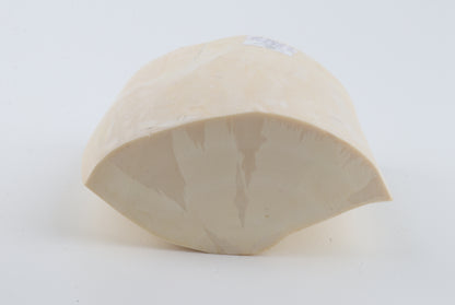 White mammoth tusk piece