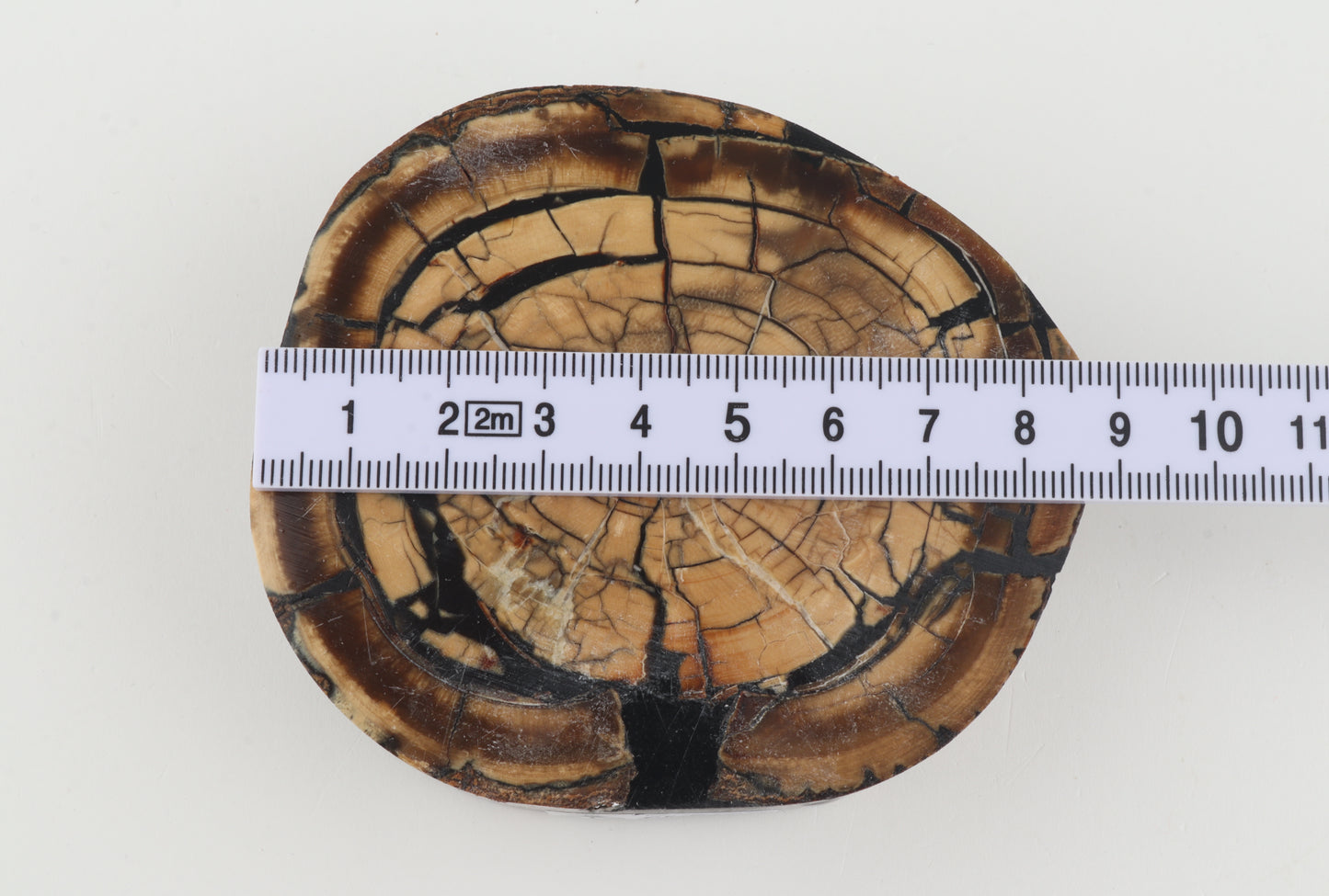 Stabilized mammoth ivory block