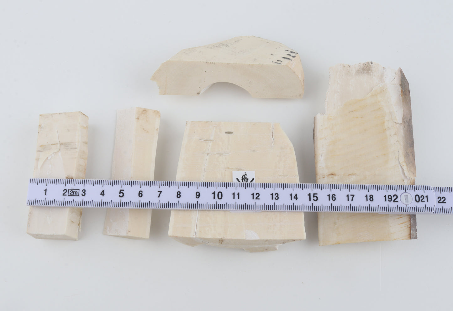 Raw mammoth ivory pieces