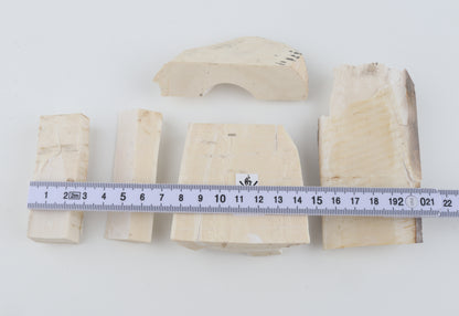 Raw mammoth ivory pieces