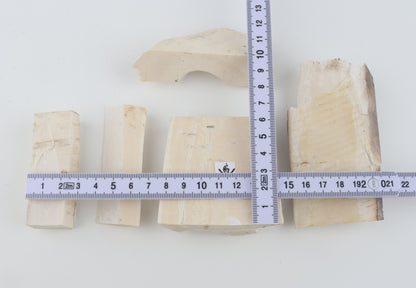 Raw mammoth ivory pieces