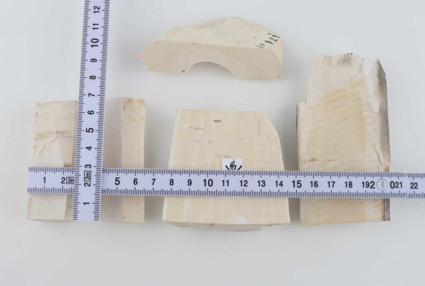Raw mammoth ivory pieces
