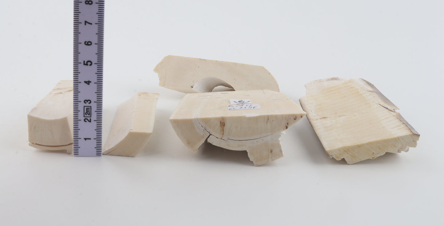 Raw mammoth ivory pieces