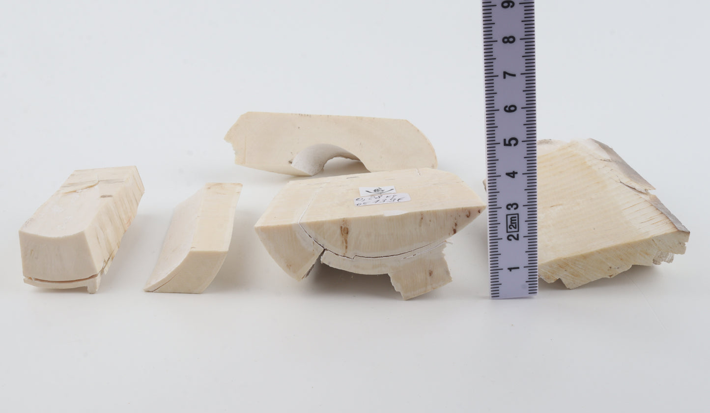 Raw mammoth ivory pieces