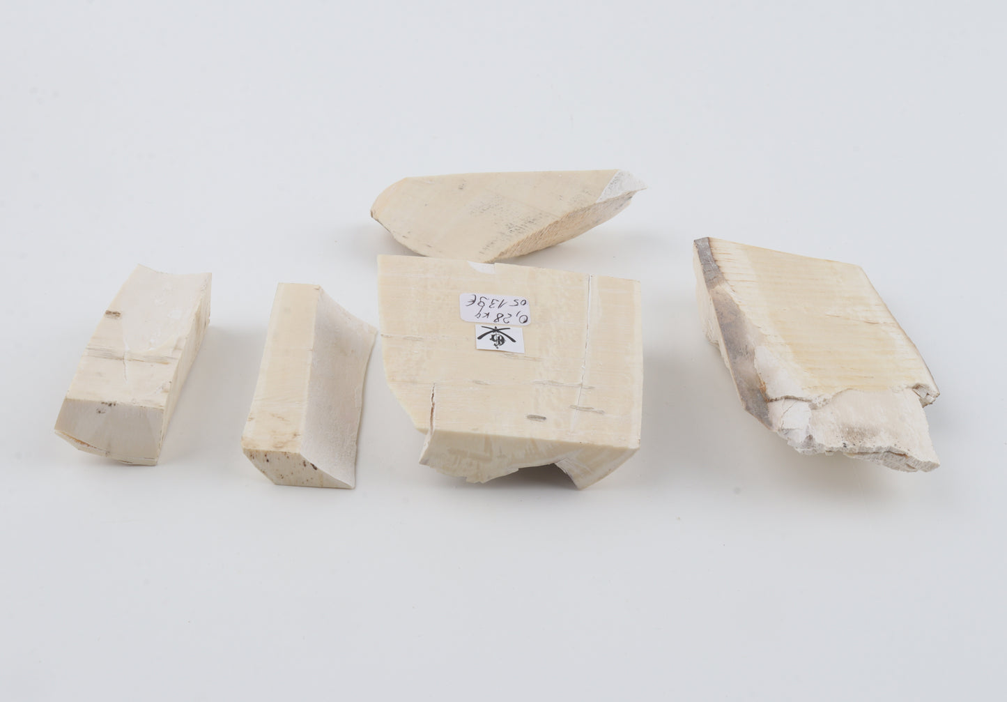 Raw mammoth ivory pieces