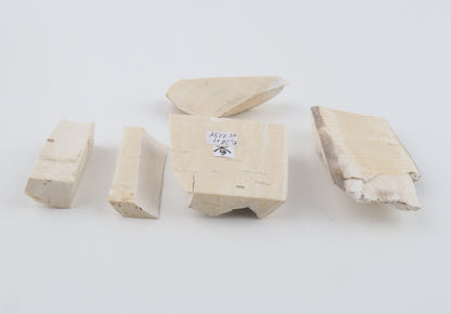 Raw mammoth ivory pieces