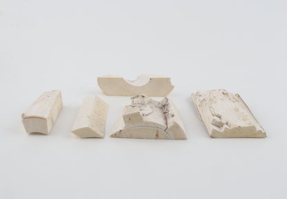 Raw mammoth ivory pieces