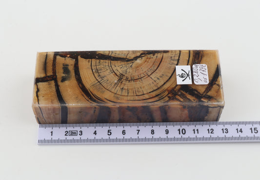 Stabilized mammoth ivory block