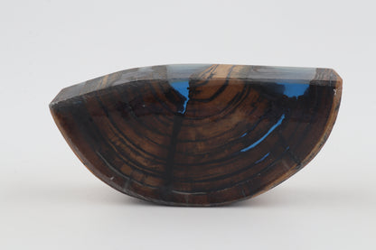 Stabilized mammoth ivory piece
