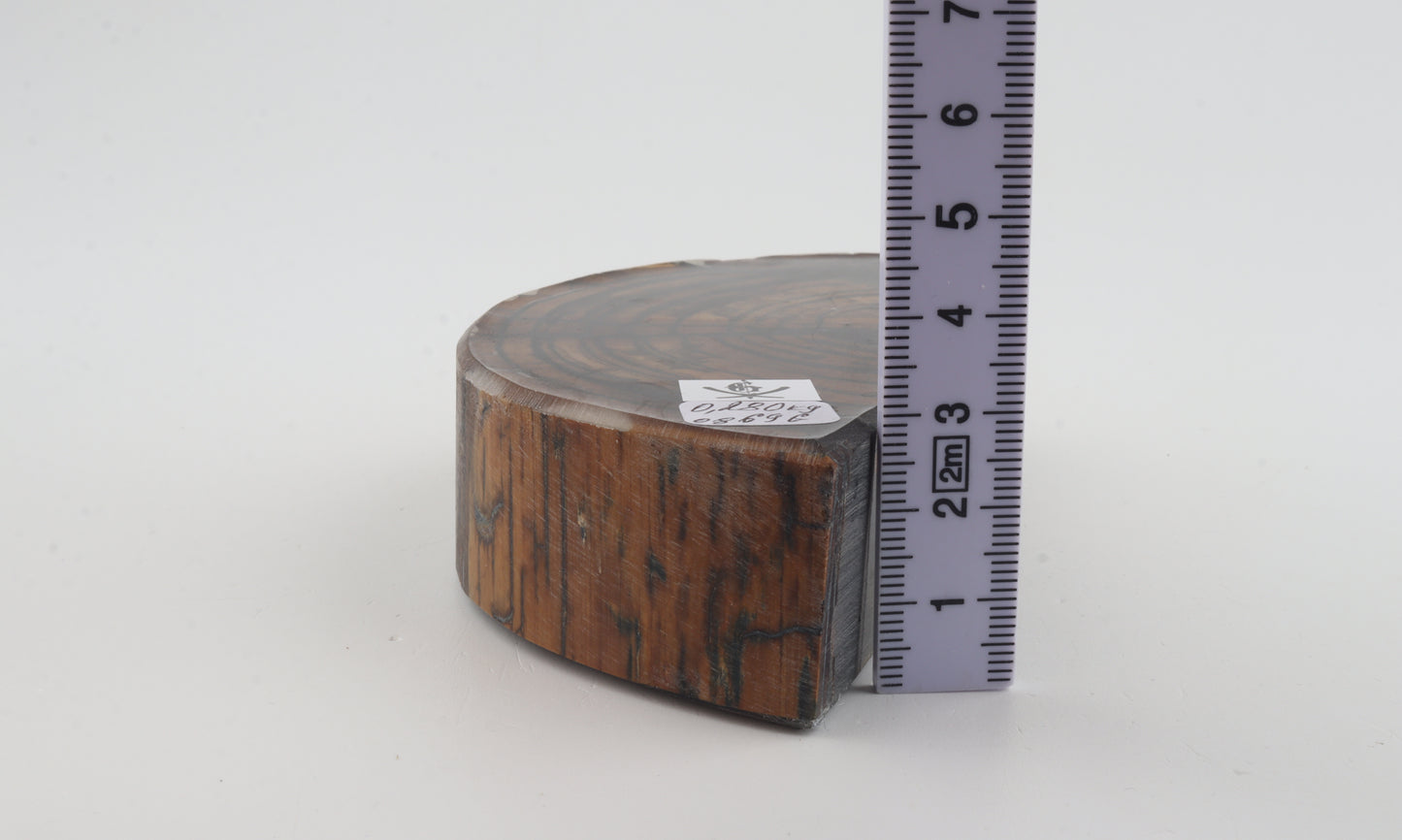 Stabilized mammoth ivory piece