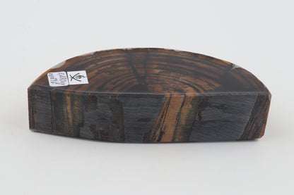 Stabilized mammoth ivory piece
