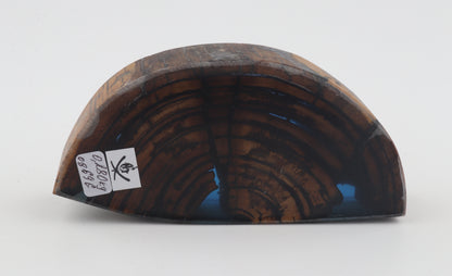 Stabilized mammoth ivory piece