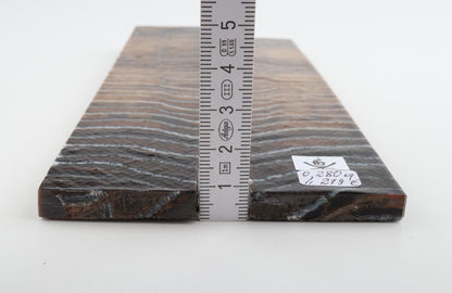 Stabilised mammoth molar scales