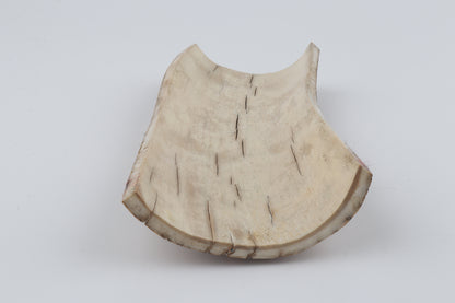 Creme-orange mammoth bark