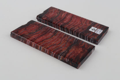 Stabilized mammoth molar scales