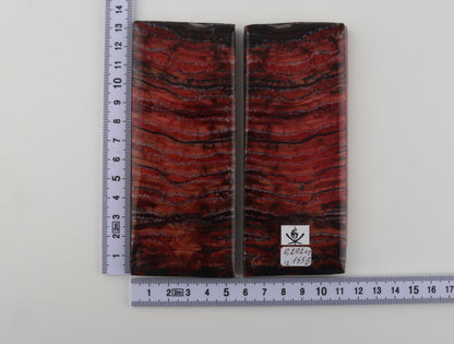 Stabilized mammoth molar scales