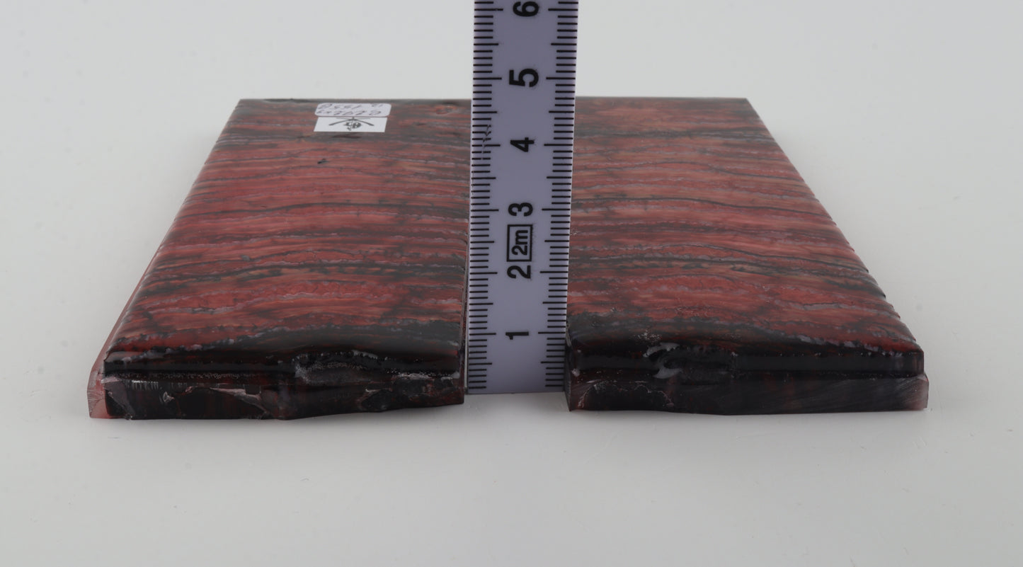 Stabilized mammoth molar scales