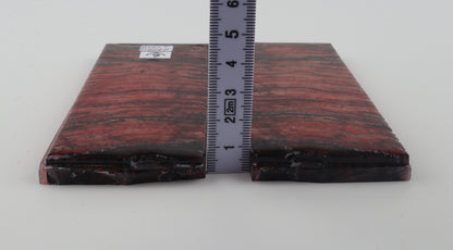 Stabilized mammoth molar scales