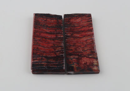 Stabilized mammoth molar scales