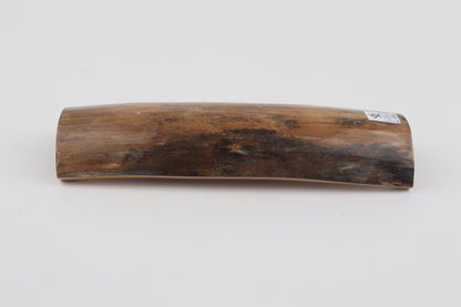 Beige mammoth bark