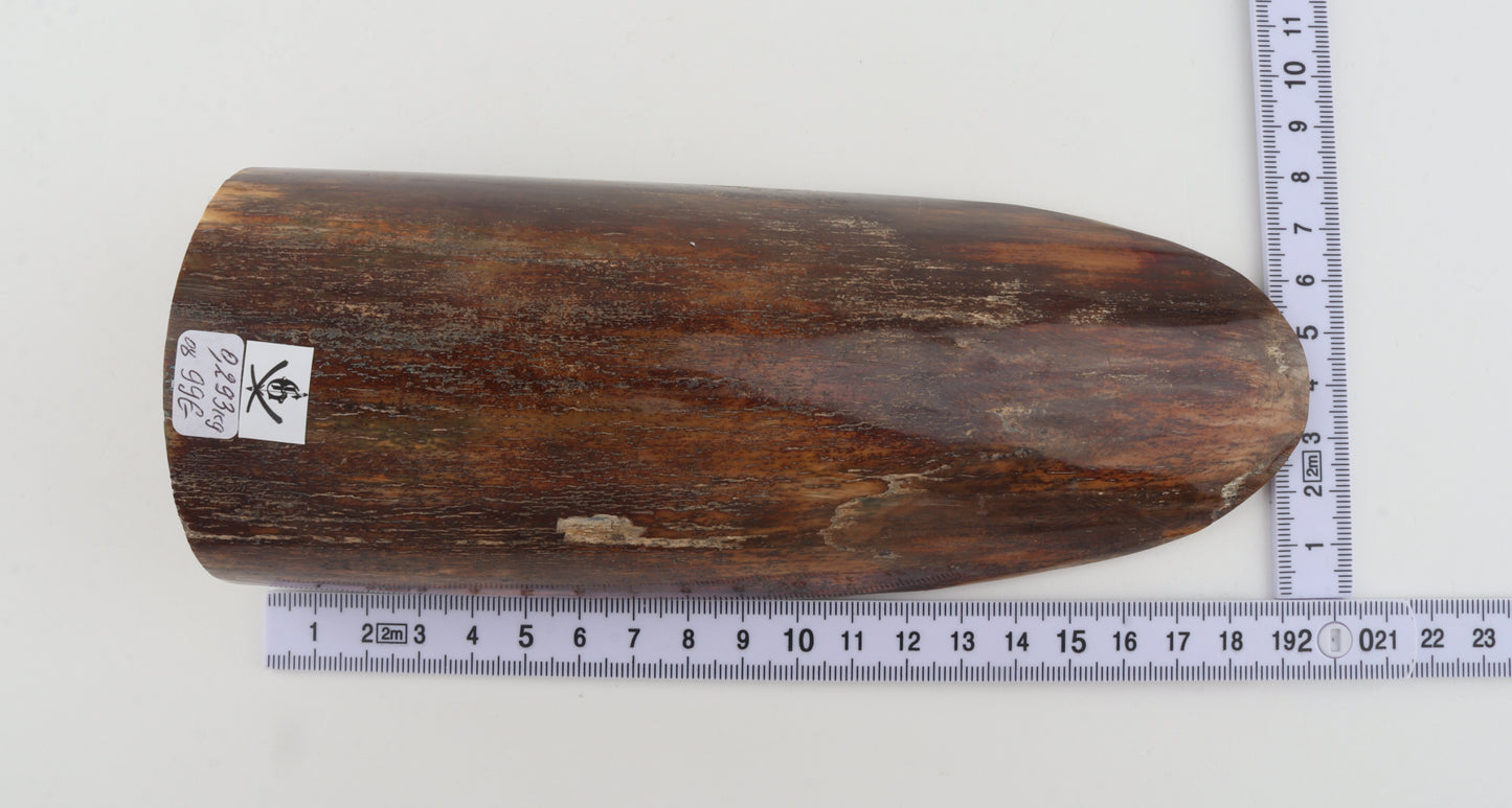 Brown mammoth bark