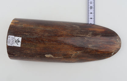 Brown mammoth bark