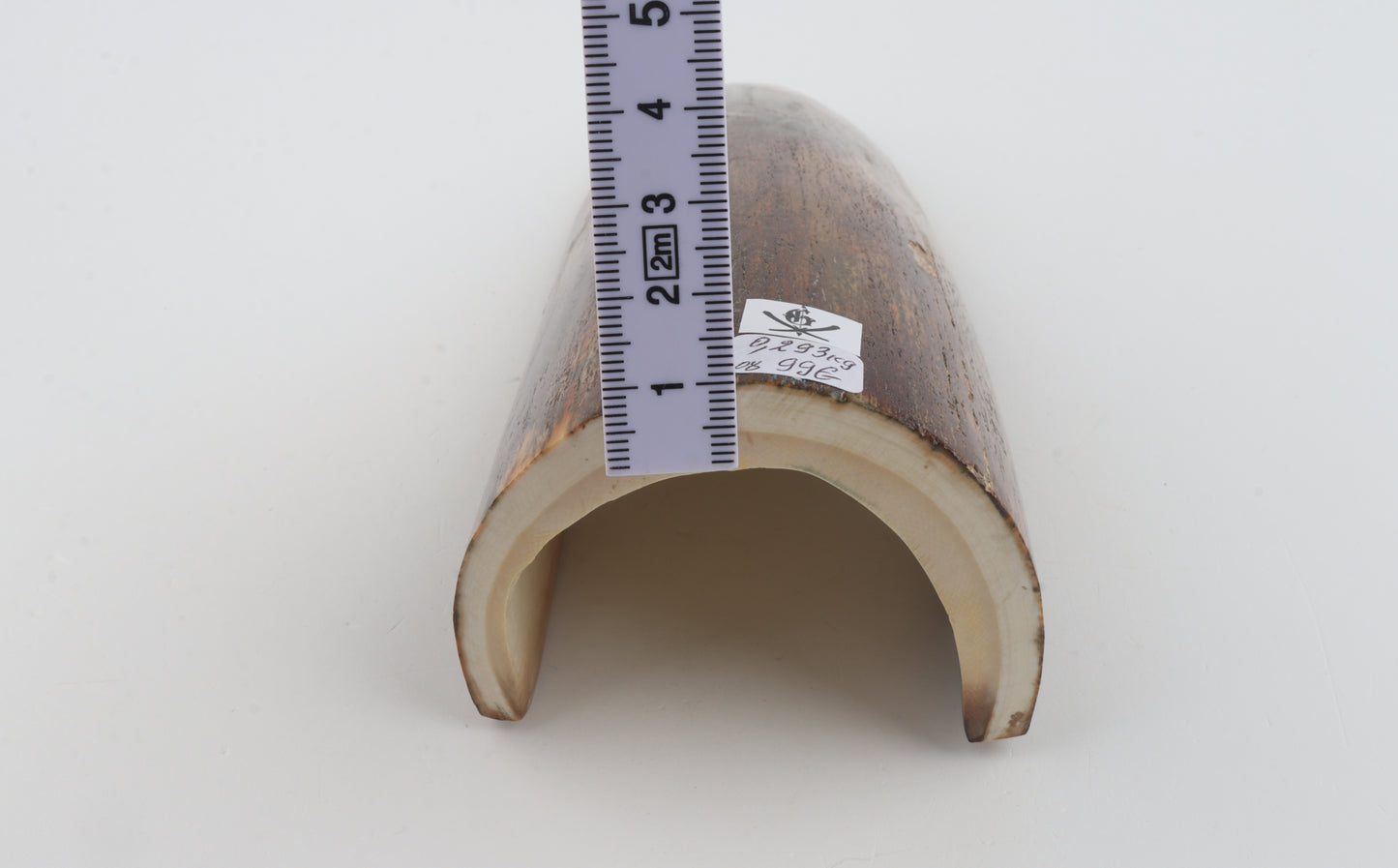 Brown mammoth bark