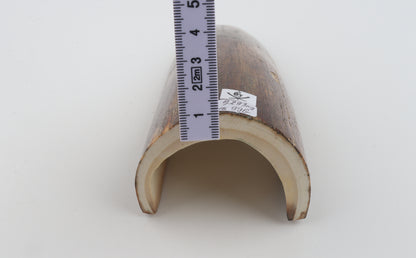 Brown mammoth bark