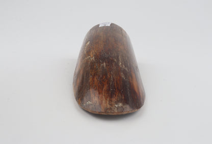 Brown mammoth bark