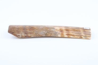Brown-orange mammoth bark