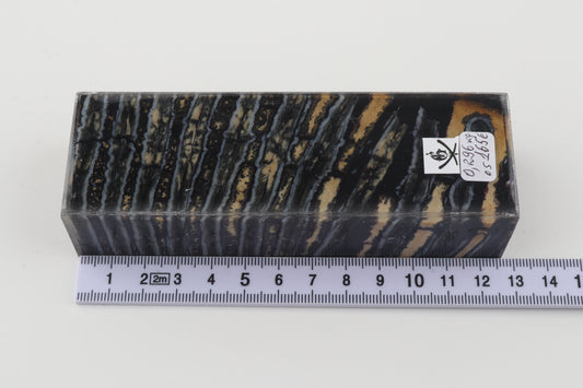 Stabilized mammoth molar block