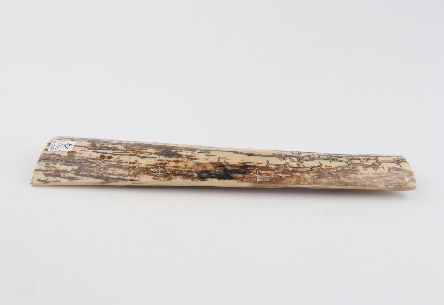 Brown-white mammoth bark