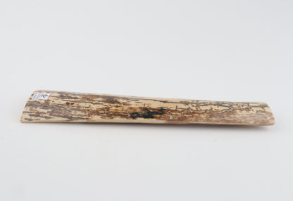 Brown-white mammoth bark