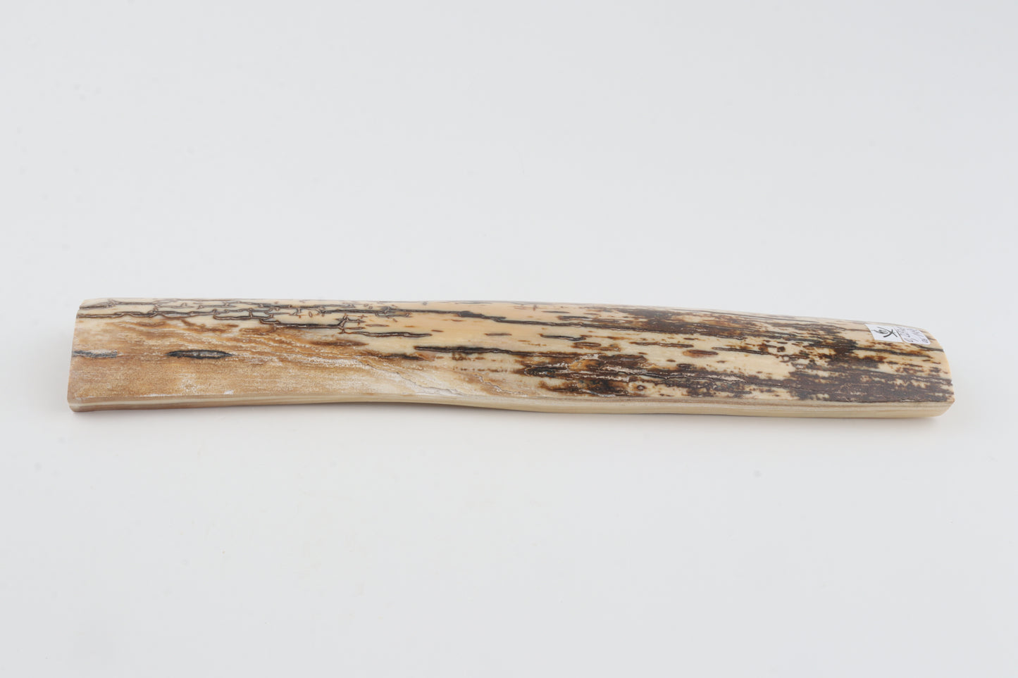 Brown-white mammoth bark