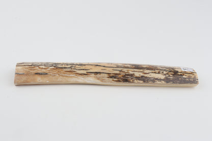 Brown-white mammoth bark