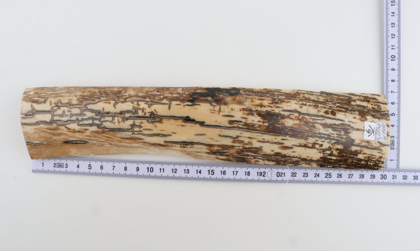Brown-white mammoth bark