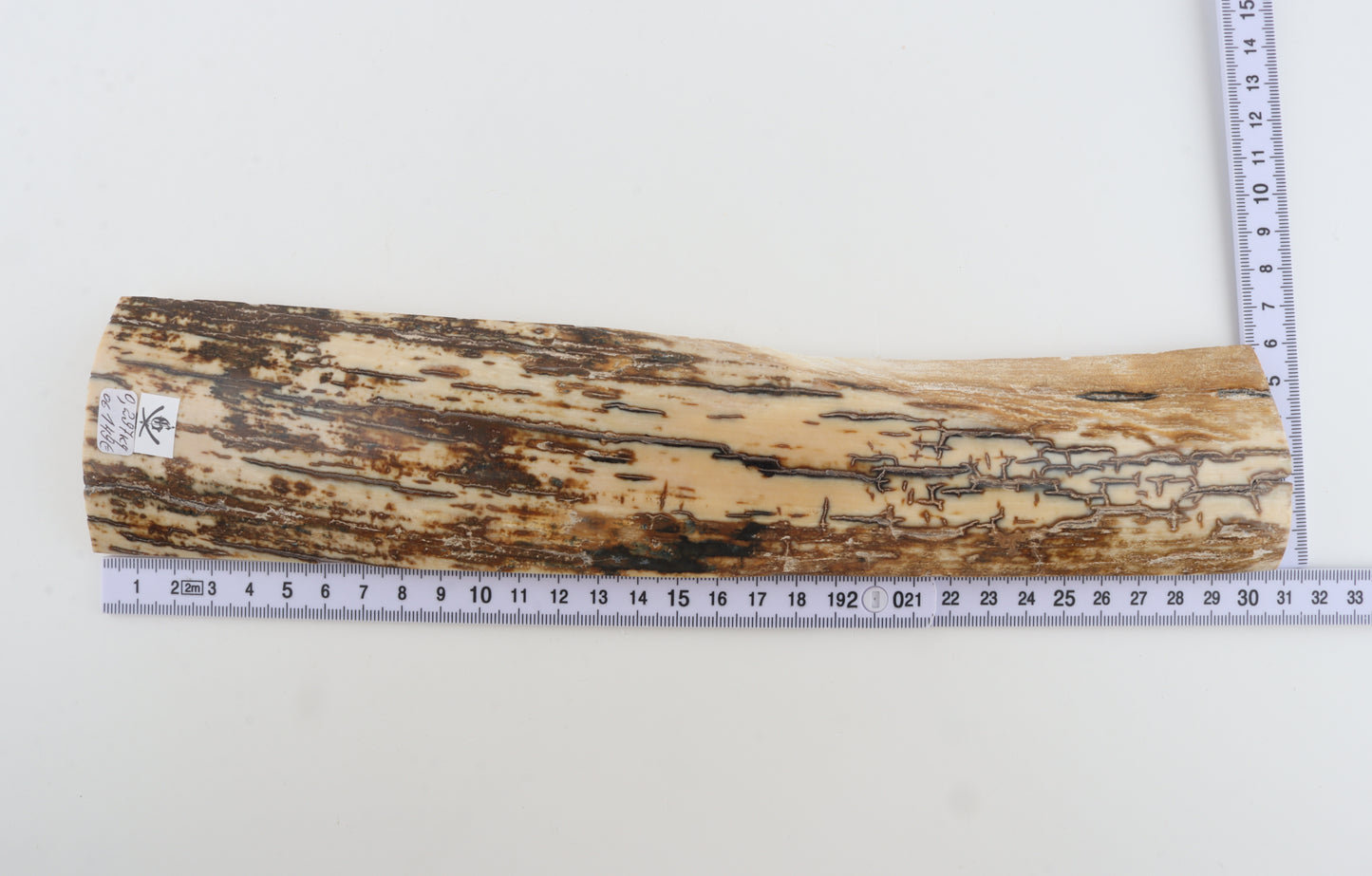 Brown-white mammoth bark