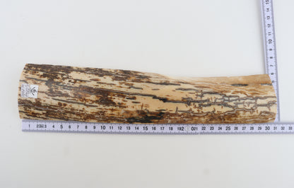 Brown-white mammoth bark