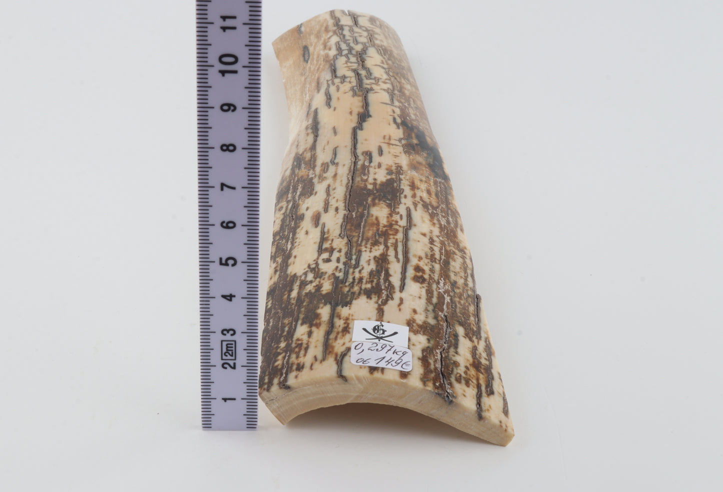 Brown-white mammoth bark
