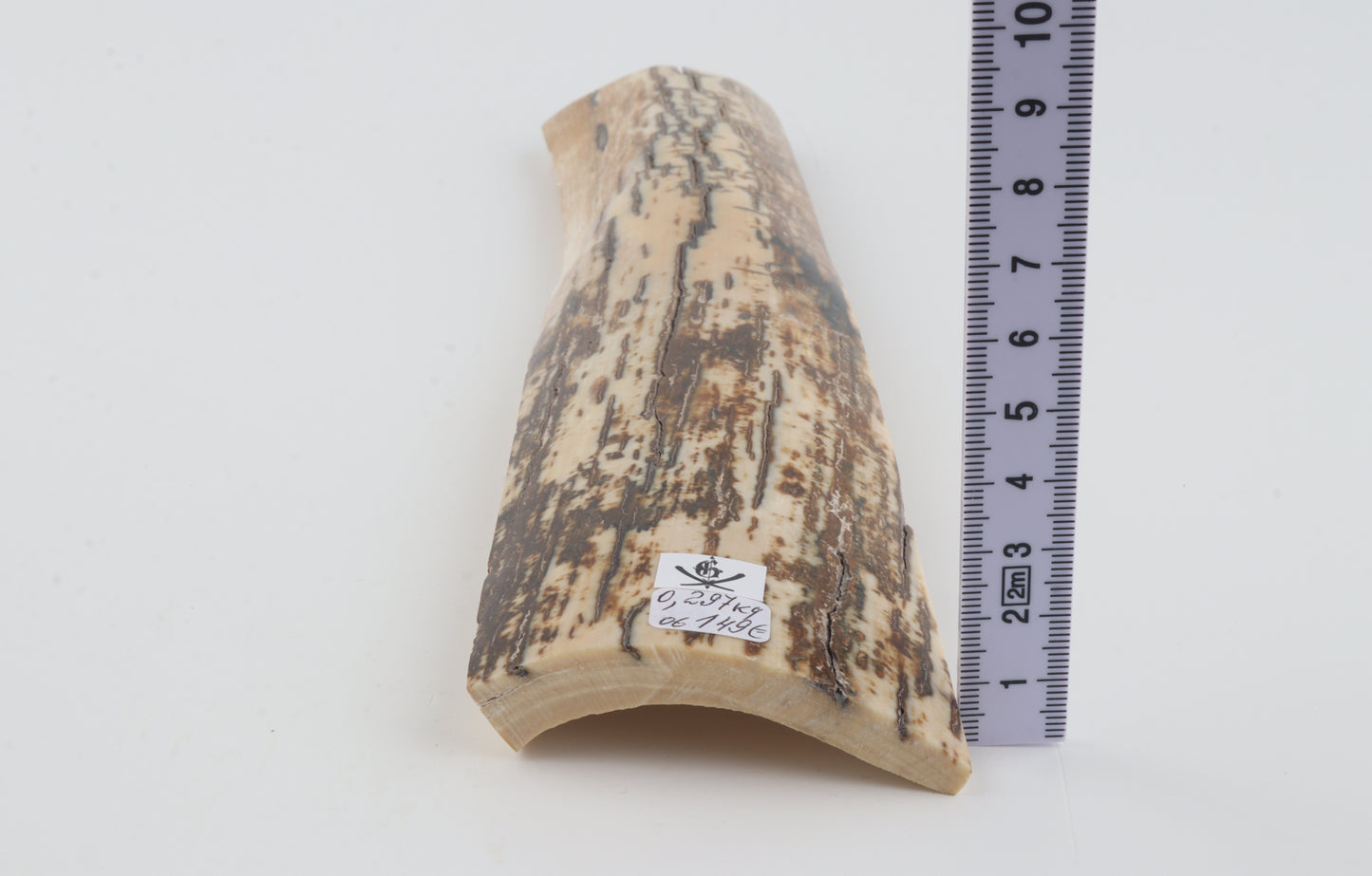 Brown-white mammoth bark