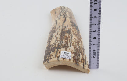 Brown-white mammoth bark
