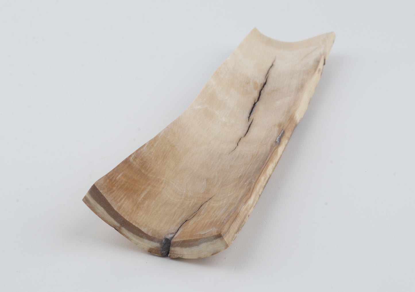 Brown-white mammoth bark