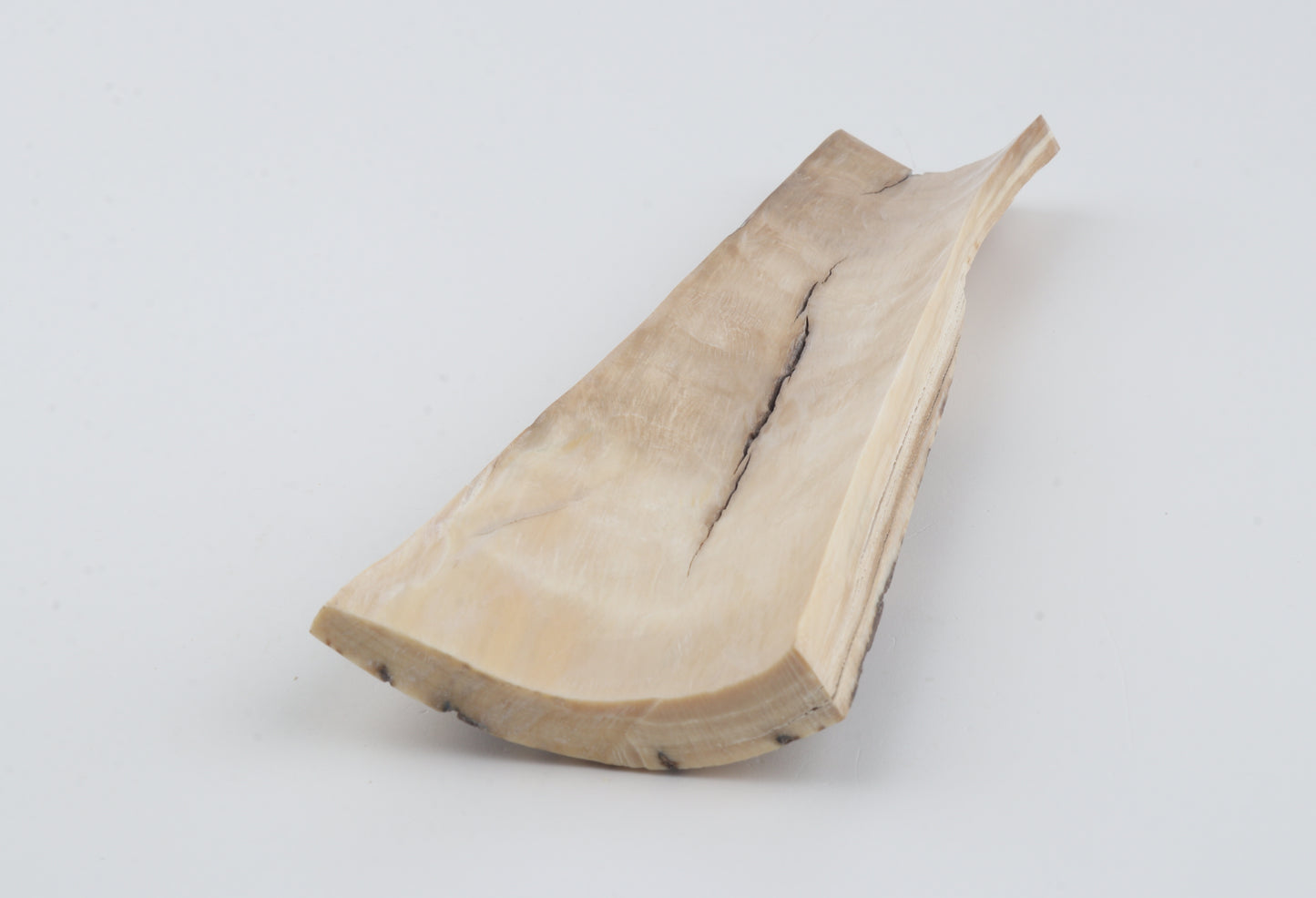 Brown-white mammoth bark